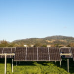 2014年彩票开奖结果及历史数据回顾 3gsixa