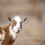 2014年非诚勿扰精彩直播全纪录:心动瞬间全程放送 77hr0d