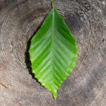 3d开奖结果124历史记录与最新数据查询 b1tmfhg8e