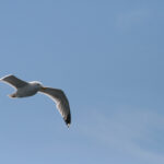 2014赛季中超联赛完整赛程直播时间表 bmhbl7