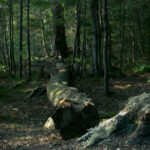 2014年索契冬奥会开幕式全程高清直播回顾 fioesh7v0