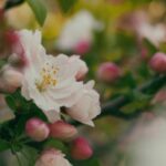 2014年全年开奖记录完整版高清图片集锦 koojkb1yy