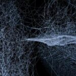 2014年福彩各彩种全年开奖号码完整回顾 whfdd82